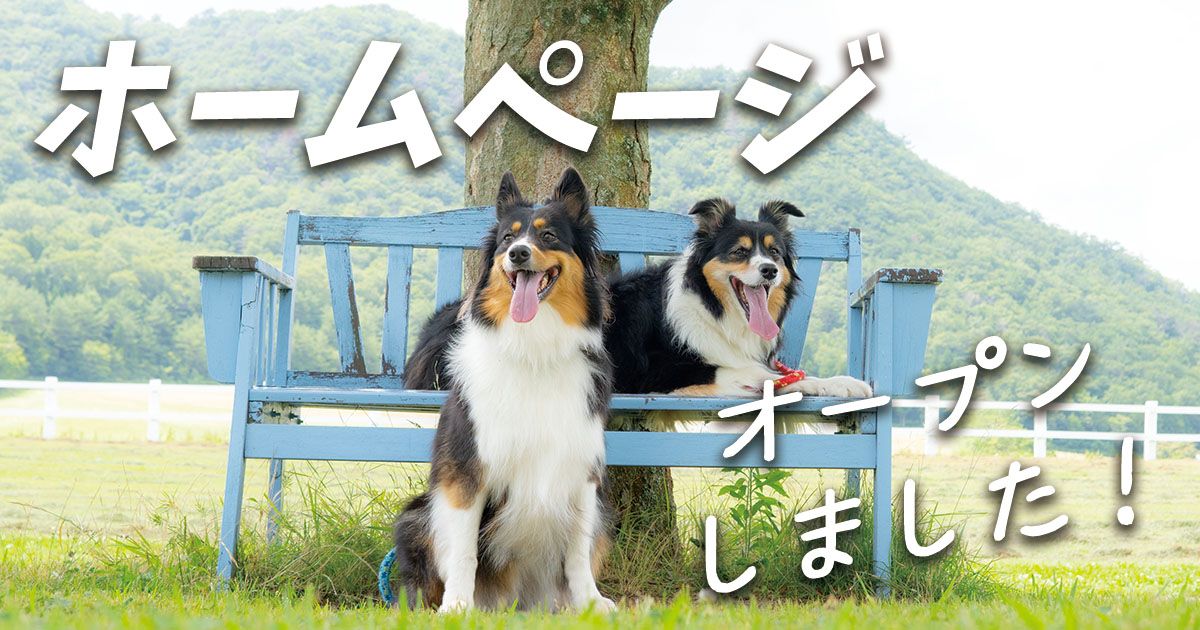 ホームページをオープンしました。