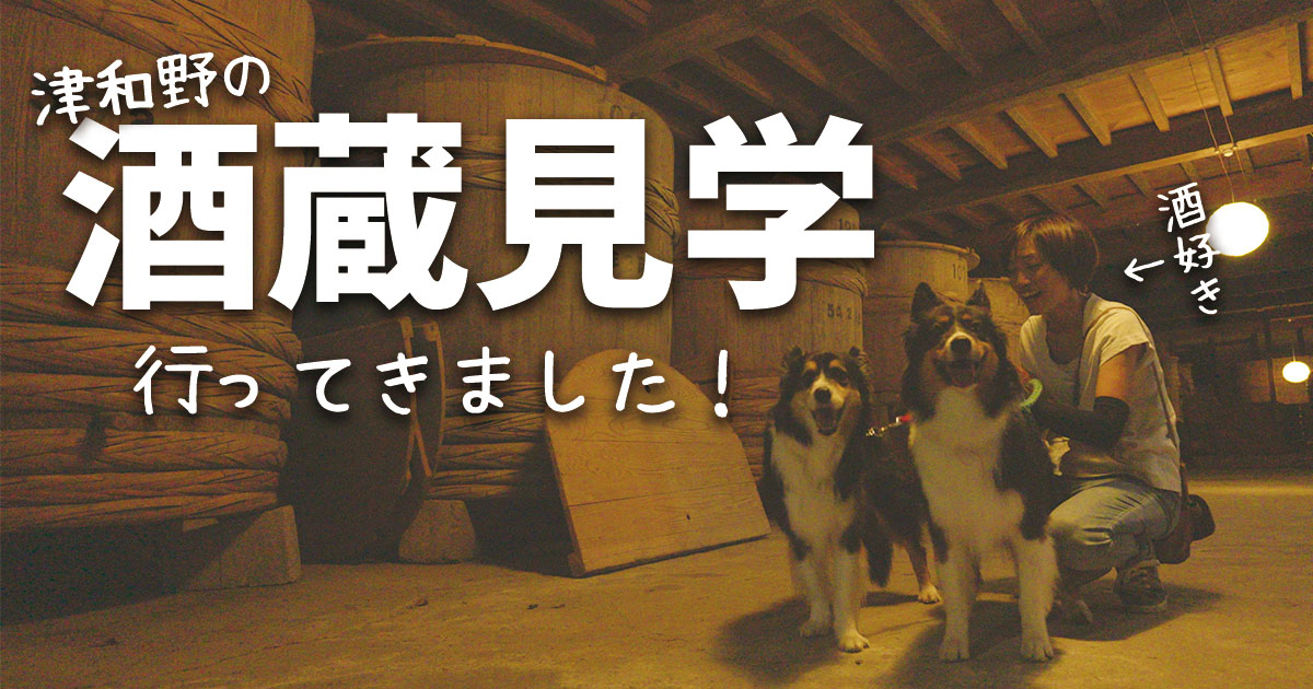 犬連れOK！津和野の地酒を造る「財間酒場」の高砂酒蔵資料館に行ってきました。