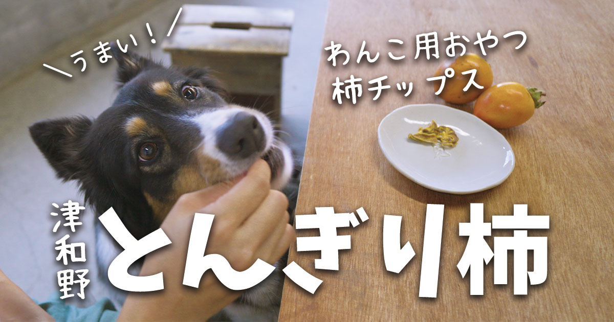 津和野とんぎり柿のドライチップスを購入。わんちゃんと一緒に食べてみました。