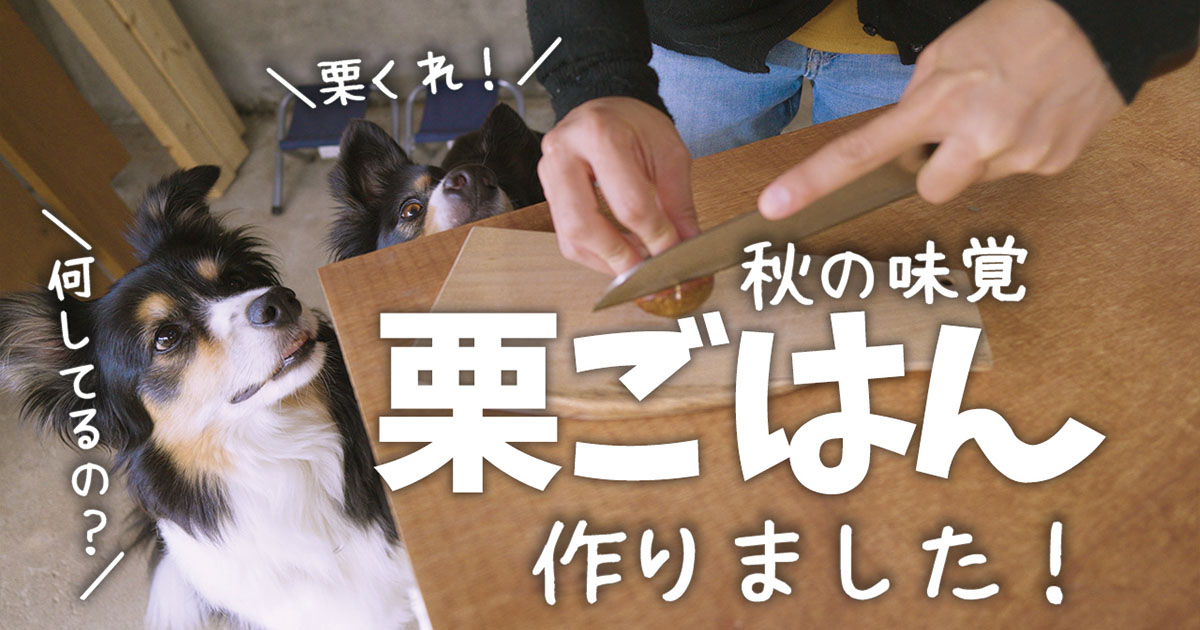 レイ、ハル、ずーと一緒に初めて「栗ごはん」を作りました。