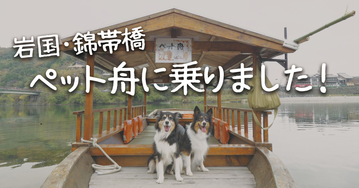 山口県岩国市 錦帯橋のペット舟に乗ってきました！