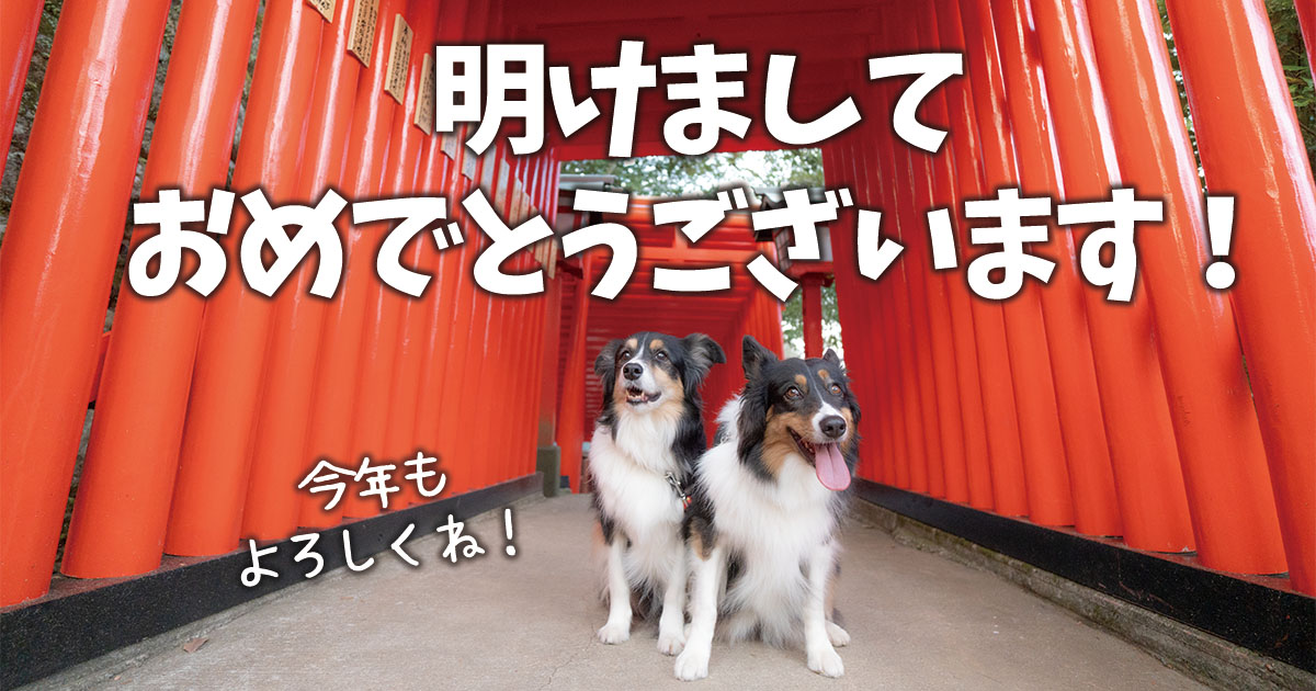 新年のご挨拶