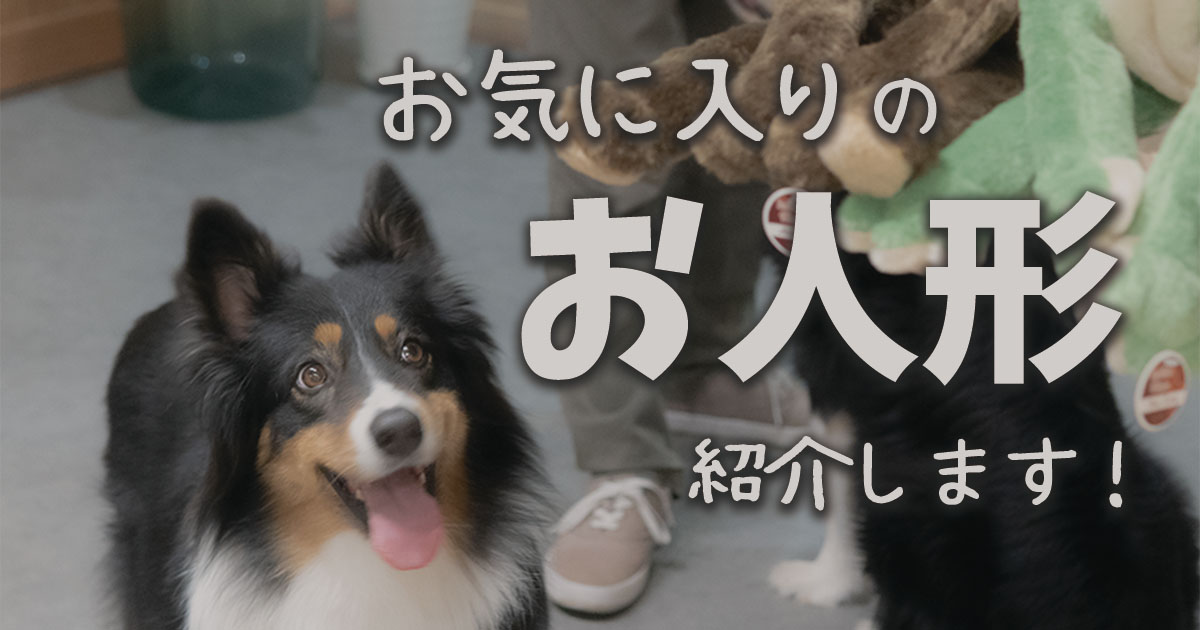 レイハルお気に入りのとっても頑丈な犬用おもちゃ「ミッシェルベアー」と「フローラフロッグ」を紹介します！