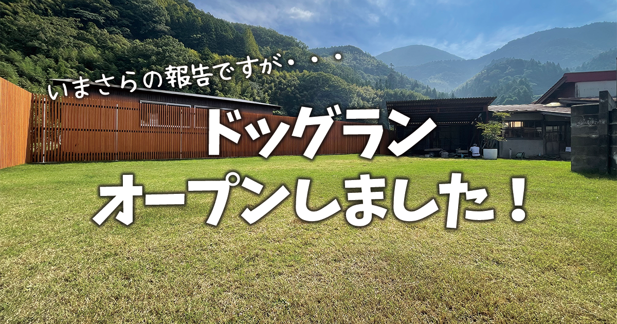 ドッグランをオープンしました！