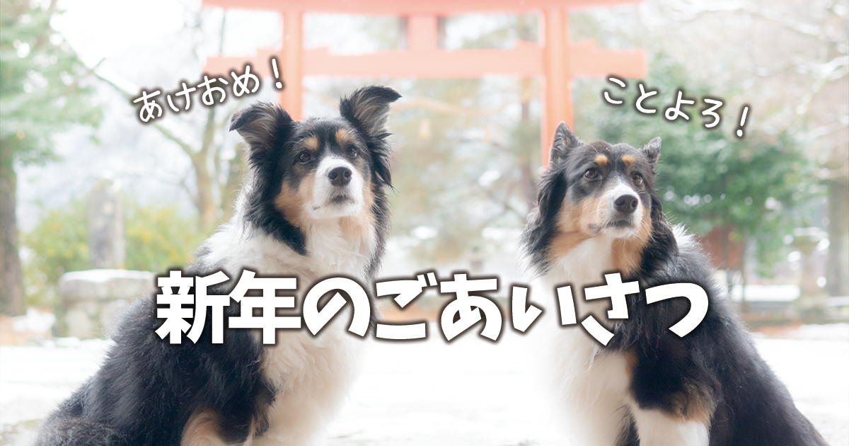 新年のごあいさつ（2025年）