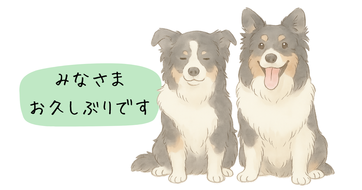 更新をサボっていました…（ごめんなさい）
