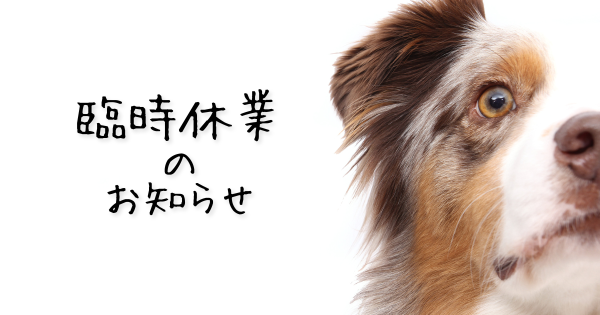 （期間延長）臨時休業のお知らせ