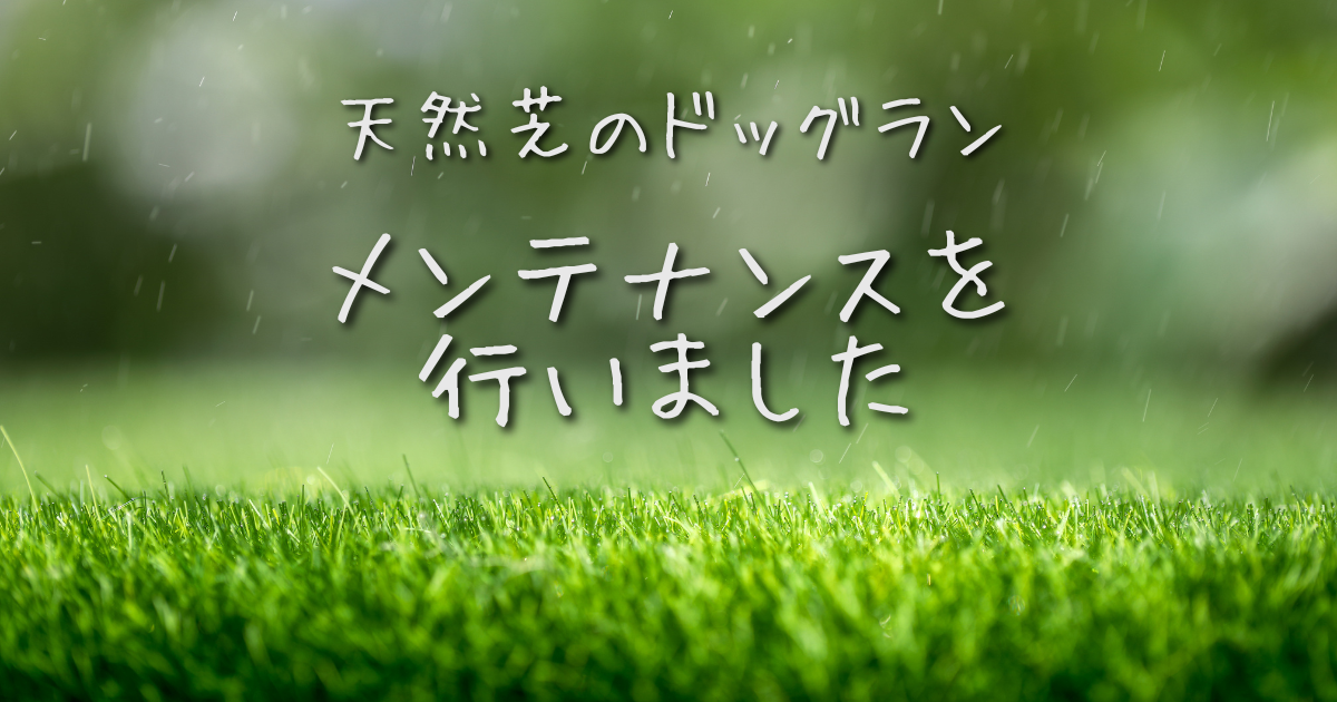 ドッグランの天然芝のメンテナンスを行いました（2026年5月）